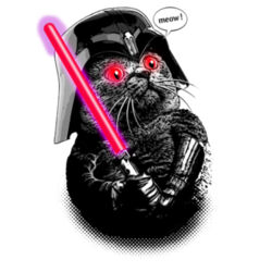 Darth Vader Cat Design