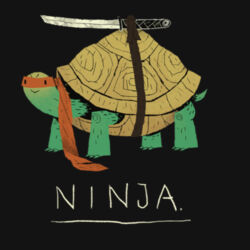 Ninja Turtle Design