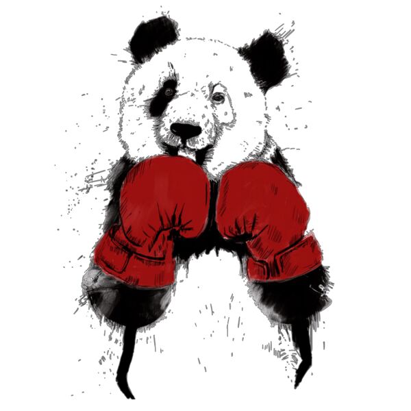 fighting panda Thumbnail