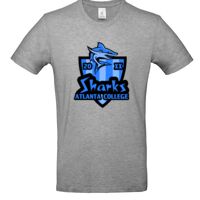 Inspire Plus T Thumbnail