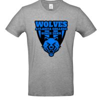 Inspire Plus T Thumbnail