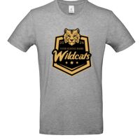 Inspire Plus T Thumbnail