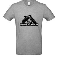 Inspire Plus T Thumbnail