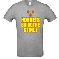 Inspire Plus T Thumbnail